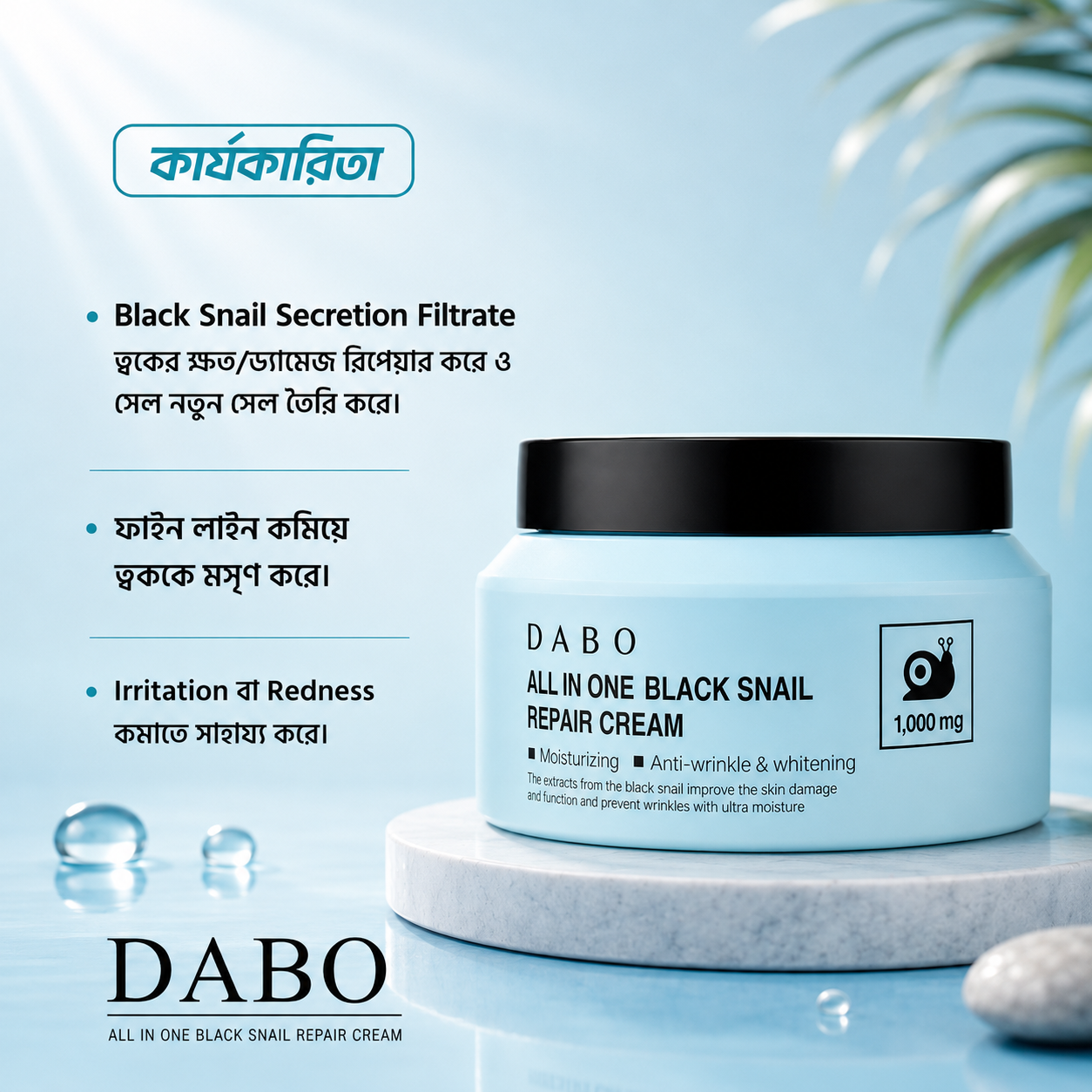 DABO - Image 3